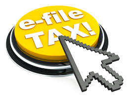 File your Wealth Tax Return online