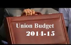 Glimpses of the Union budget 2014 -15